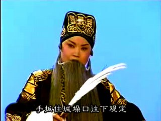 孙红丽戏剧戏曲演员